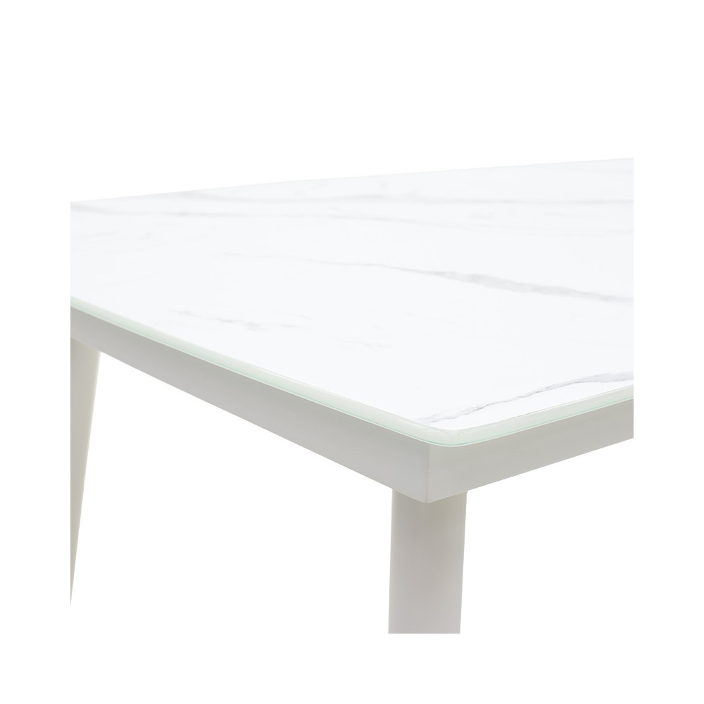 Table de jardin métal blanc verre 160x90x78 cm