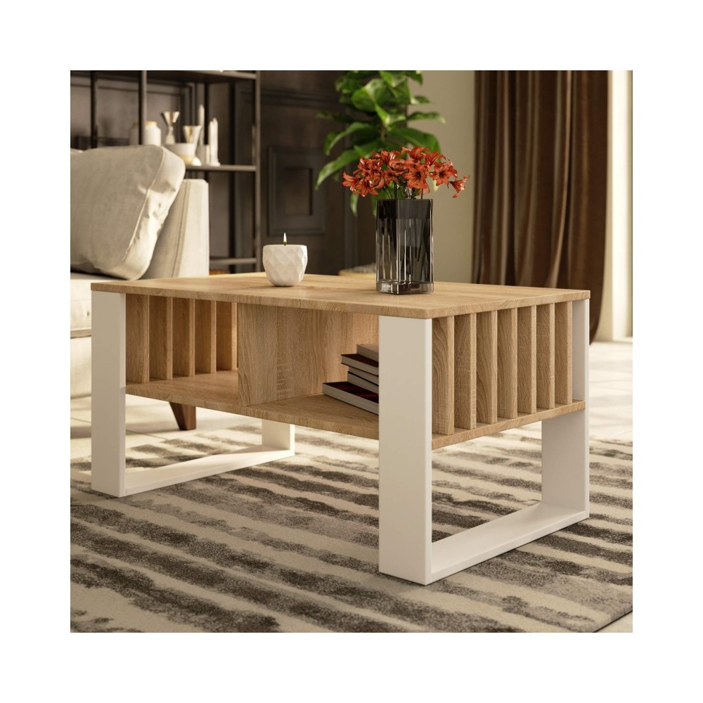 Table basse TIA avec rangement Bois Chêne Sonoma / Blanc 92X45x53 cm