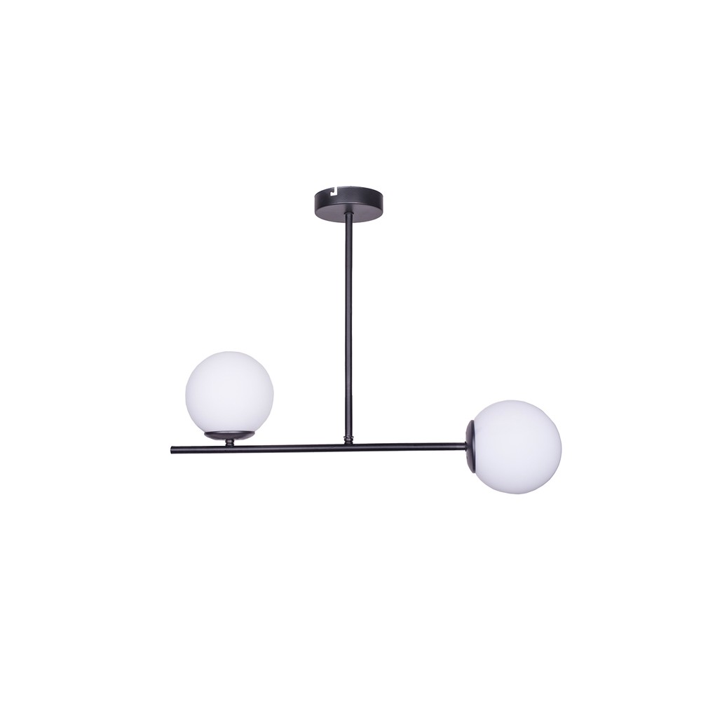 Éclairage de plafond Opedro à 2 lumières élégant - Design en métal noir